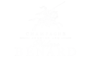 Producteur de champagne à Epernay